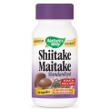 Shiitake-Maitake Rol imunostimulator si adjuvant in terapiile antitumorale